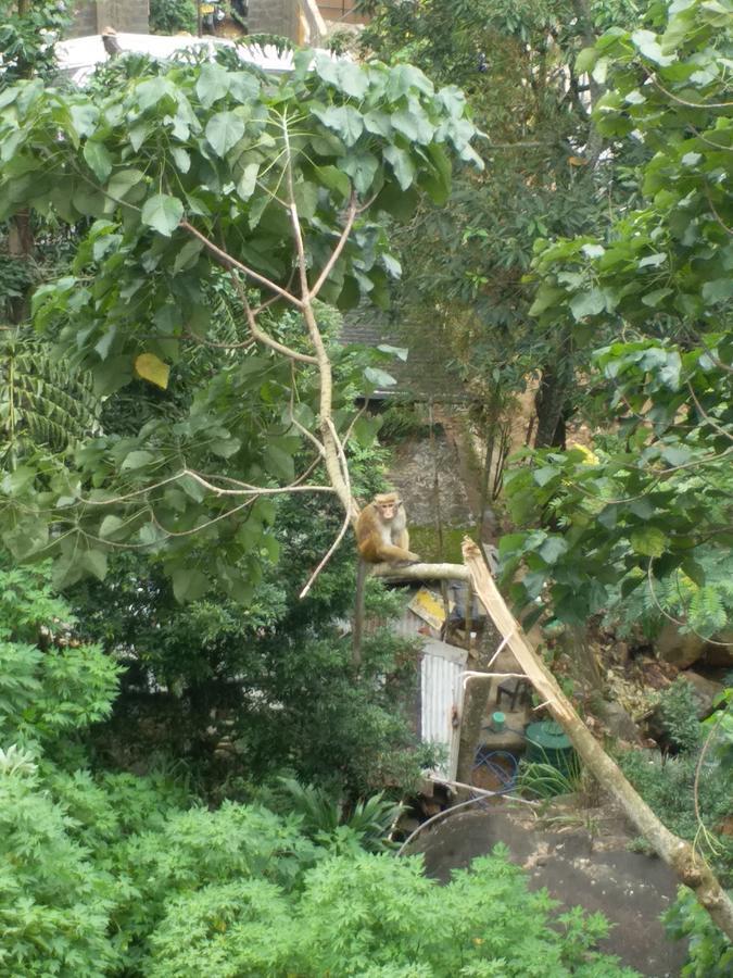 Kandy Dilruk Homestay ภายนอก รูปภาพ